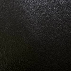 Texture X007