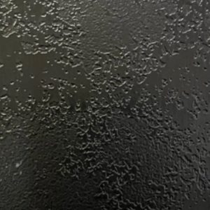 Texture X051
