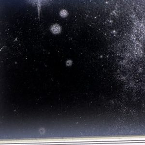 Texture X158