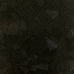 Texture X338