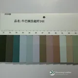 YX-051 - Color card - front 1
