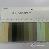 YX-095 - Color card - front 1