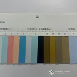 YX-079 - Color card - front 2