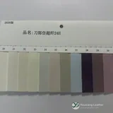 YX-040 - Color card - front 1