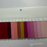 YX-119 - Color card - front 2
