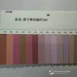 YX-063 - Color card - front 1