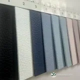 YX-077 - Surface detail 1
