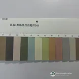YX-046 - Color card - front 1