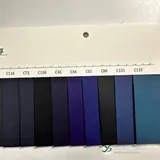 YX-199 - แผ่นตัวอย่างสี - ด้านหน้า 2