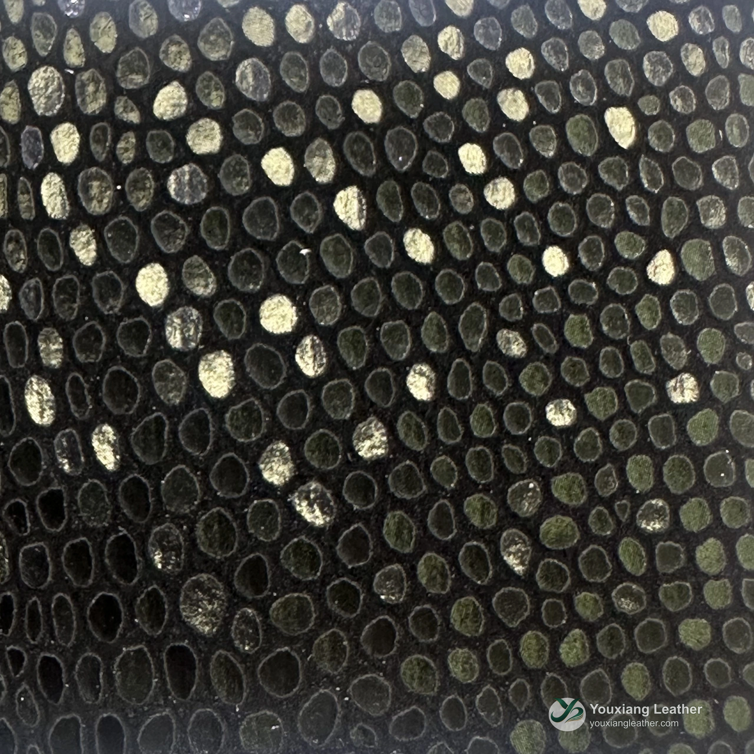 Texture X124