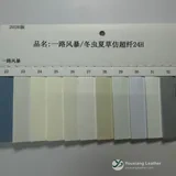 YX-076 - Color card - front 1