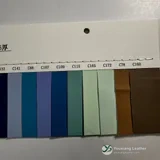 YX-195 - Color card - front 2
