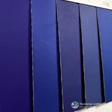 YX-173 - Surface detail 1
