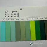 YX-213 - Color card - front 1