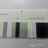 YX-021 - Color card - front 2