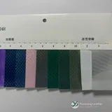 YX-001 - Color card - front 2