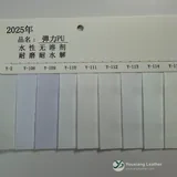 YX-207 - Color card - front 1