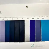 YX-176 - رنگ کارڈ - سامنے کا رخ 2