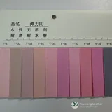 YX-209 - Color card - front 1