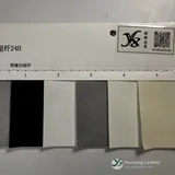 YX-156 - Color card - front 2