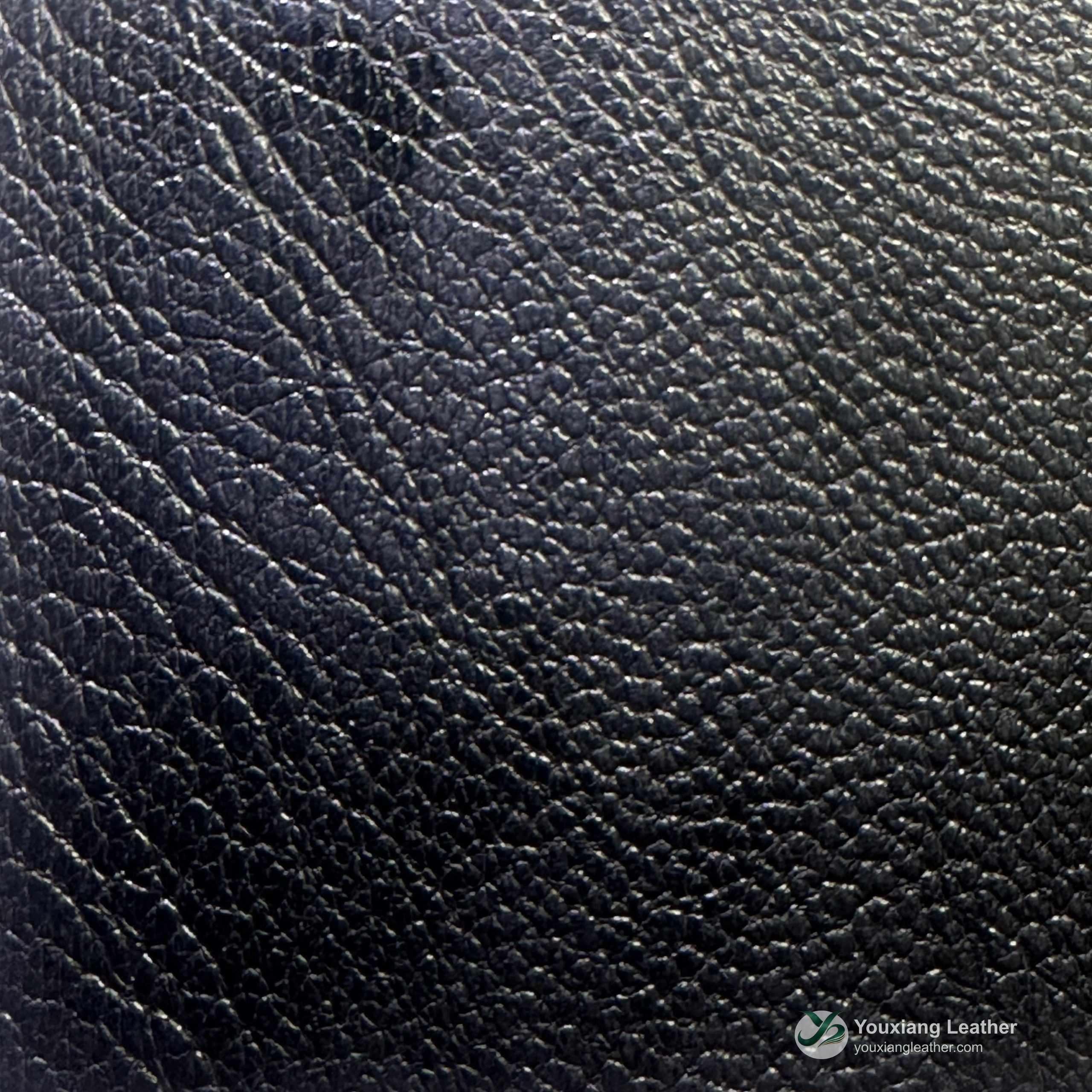 Texture X254