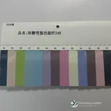 YX-033 - Color card - front 1