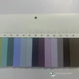 YX-095 - Color card - front 2