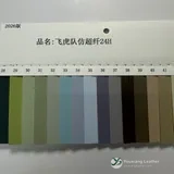YX-029 - Color card - front 1