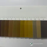 YX-009 - Color card - front 2