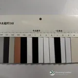 YX-123 - Color card - front 2