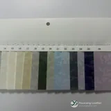 YX-019 - Color card - front 2