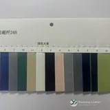 YX-023 - Color card - front 2