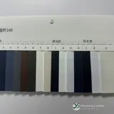 YX-010 - Color card - front 2