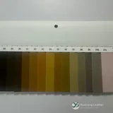 YX-056 - Color card - front 2