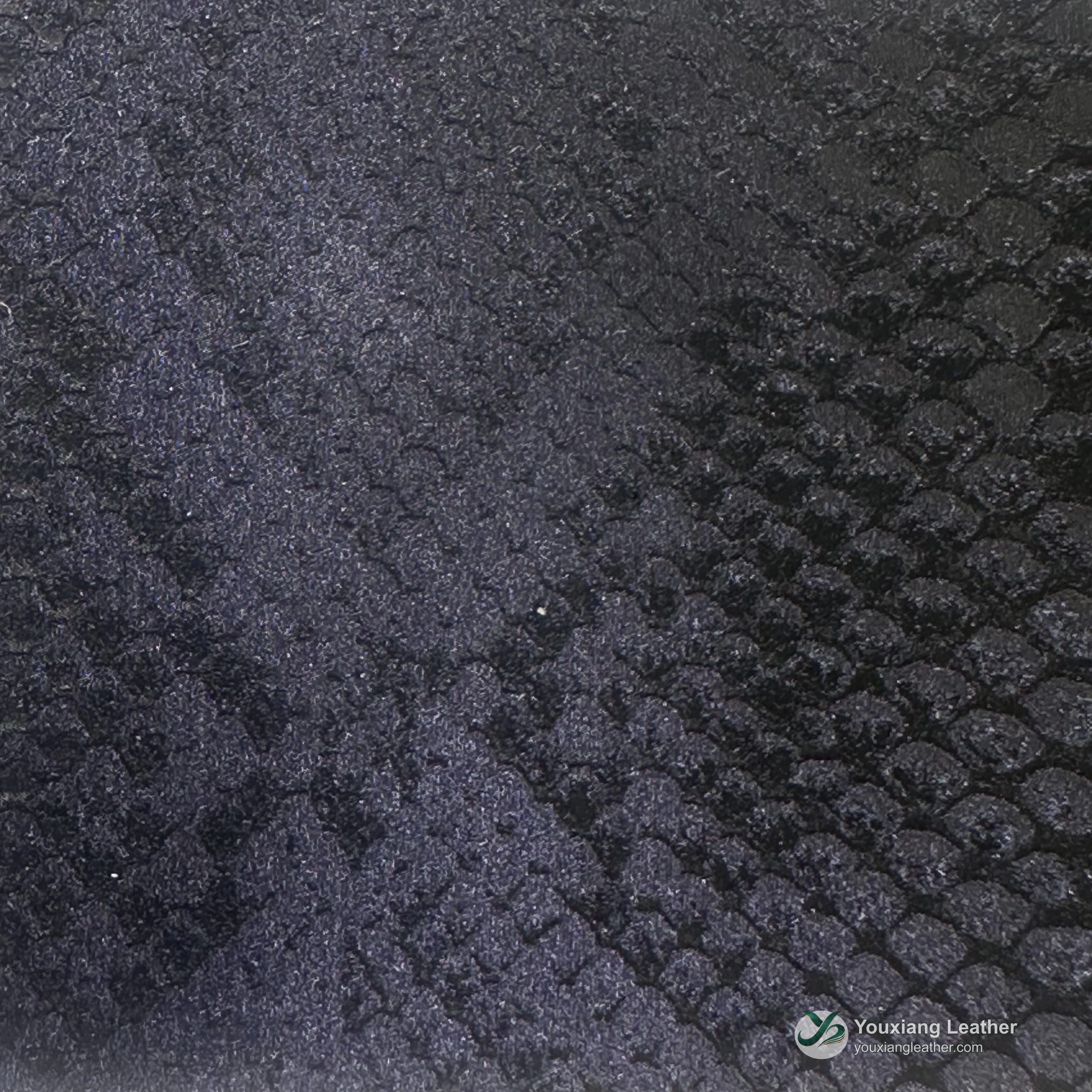 Texture X217