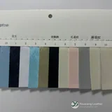 YX-002 - Color card - front 2