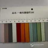 YX-125 - Color card - front 1