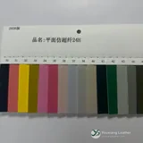 YX-026 - Color card - front 1