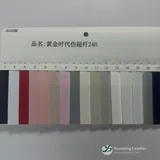 YX-071 - 색상표 - 앞면 1