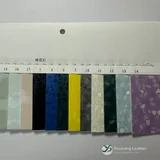 YX-003 - Color card - front 2