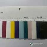 YX-005 - Color card - front 2