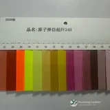 YX-058 - 색상표 - 앞면 1