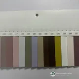 YX-115 - Color card - front 2